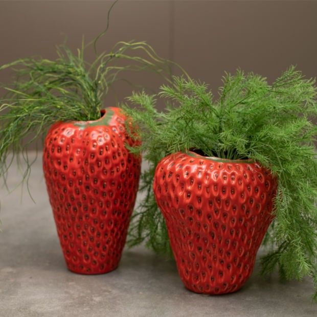 Aardbeien Vaas