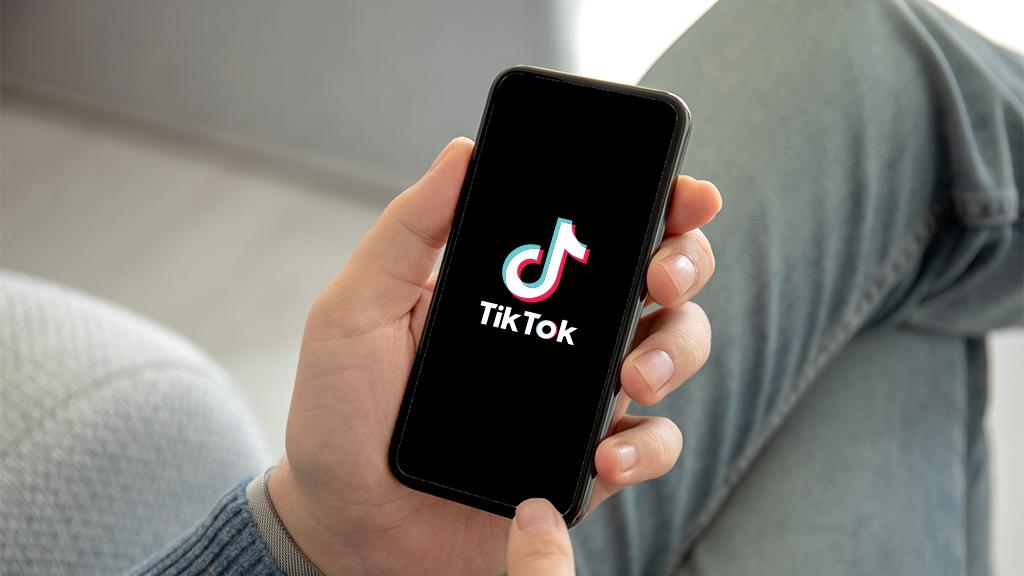 TikTok Followers